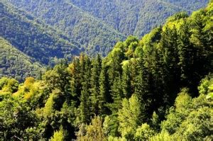 Clima en España breves apuntes para entenderlo