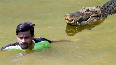 14 Scary Crocodile Encounters To SCARE You SILLY YouTube