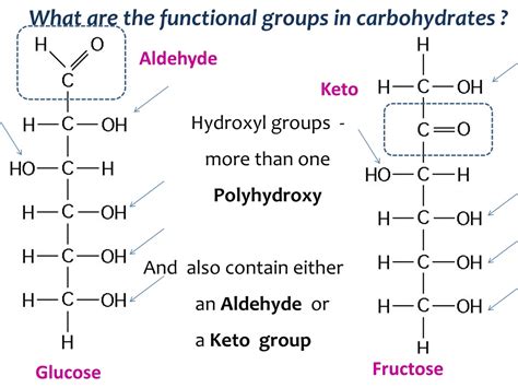 Carbohydrates Primary Function at Johanna Reed blog