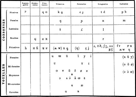 Ipa Sound Chart With Examples Michelle Writesya