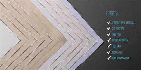 eco friendly alternatives  single  plastics