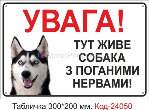 Табличка осторожно злой кот