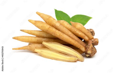 Finger Root With Leaf Isolated On White Background White Krachai Herb