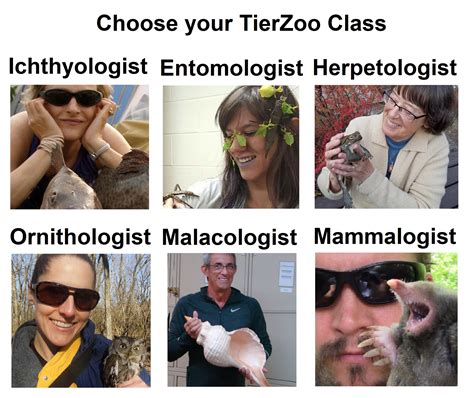1709 Best Tierzoo Images On Pholder Tierzoo Quityourbullshit And