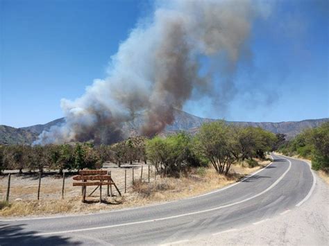 Alerta Roja Por Incendio Forestal En La Comuna De Hijuelas G Noticias