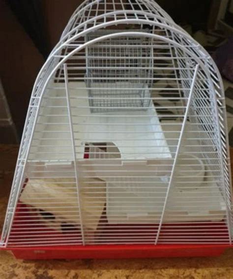 Клетка для мелких грызунов в дар (Москва). Дарудар