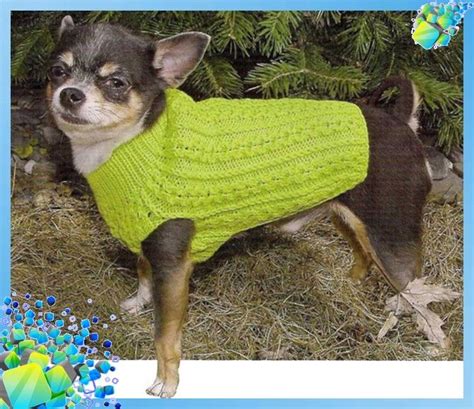 Жилетка для собаки. Схема вязания 1 | Собаки, Котопес, Куртка для собаки