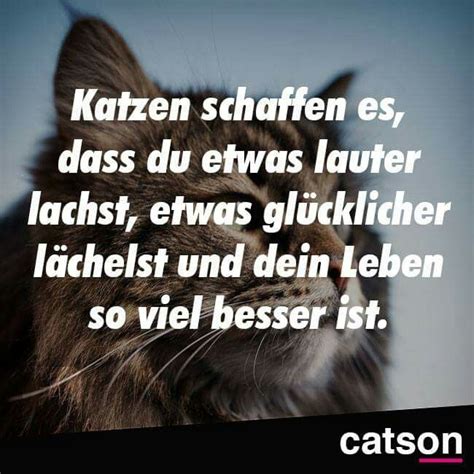 Pin Von Michaela Auf Katze Katzen Katzen Zitate Spruch Katze