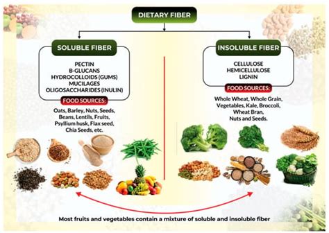 Biomedicines Free Full Text Health Benefits Of Dietary Fiber For