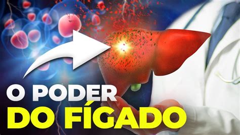 O Figado Se Regenera
