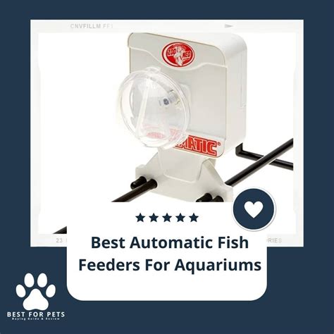 Best Automatic Fish Feeders For Aquariums Reviews Top Picks