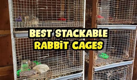 Best Stackable Rabbit Cages