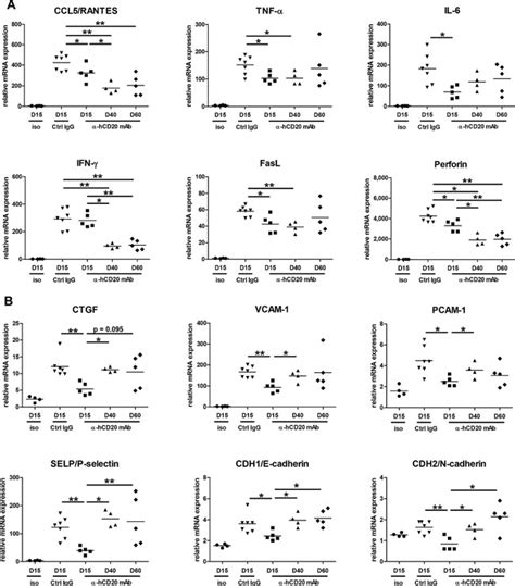 Expression Of Pro Inflammatorypro Fibrogenic Mrna In Allografts From Download Scientific