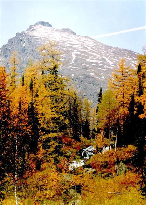 Тундра / Mountain.RU