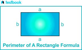 Perimeter Of Rectangle Definition Formula Derivation Applications