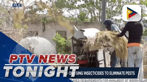 Rice Farmers Warned Of Using Insecticides To Eliminate Pests Video