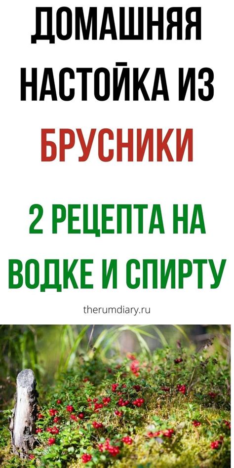 Брусничная настойка на водке или спирту: домашние рецепты своими руками ...