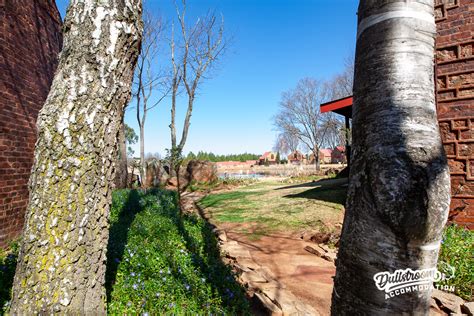 Luxurious Getaway At Crimson Cottage In Dullstroom 🏡