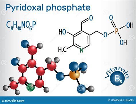 Pyridoxal 5 Phosphate Structure at Geraldine Weiss blog