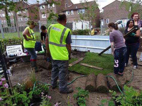 Paragon-Hedgehog-Street-community-garden-14 - Hedgehog Street