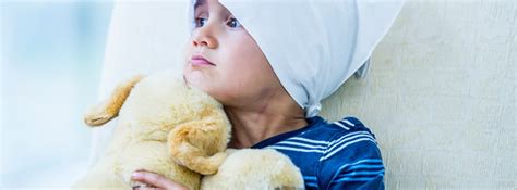 Leucemia Infantil Tratamiento Y Síntomas Canalsalud