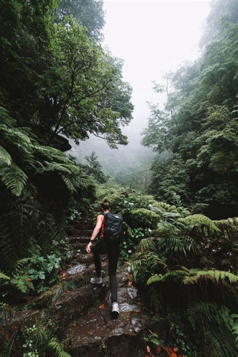 Reisroute Rondreis Langs De Mooiste Plekken Van Madeira REISJUNK