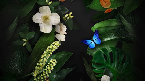 Flowers Butterflies Wallpapers | HD Wallpapers