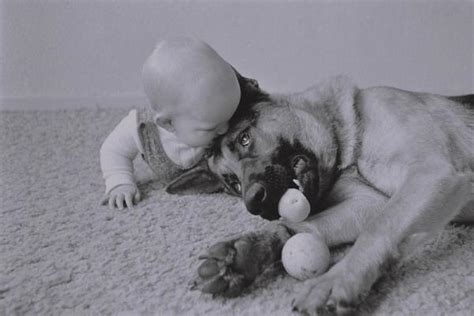 cutest pictures   babies posing  animals