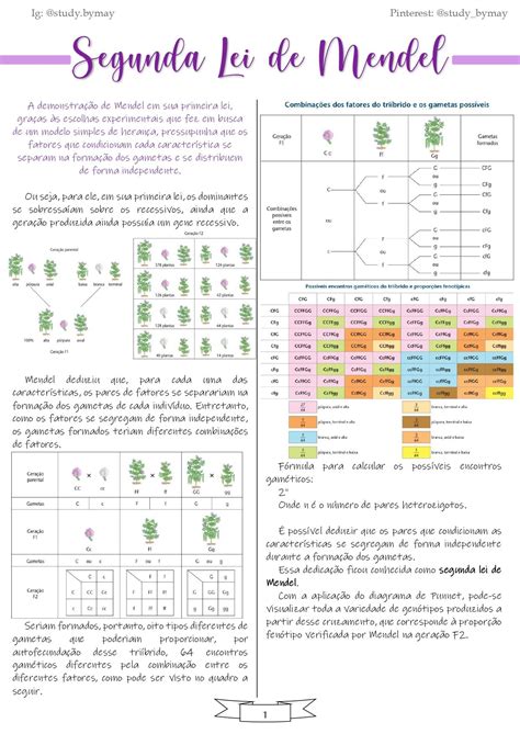Segunda Lei De Mendel Resumo - 7