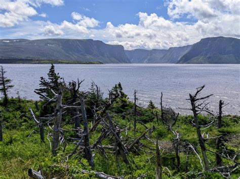 Breathtaking Hikes In Gros Morne National Park | Adventuresome Jo