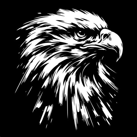 Download Eagle, Head, Bird. Royalty-Free Vector Graphic - Pixabay