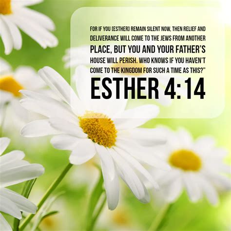 Verse Of The Day Esther Kjv Highland Park Baptist Church