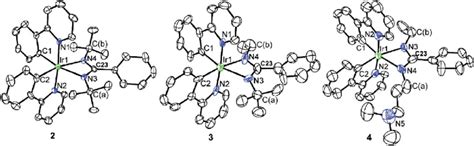 Ortep Diagrams Of Complexes 2 3 And 4 With 30 Thermal Ellipsoids Download Scientific