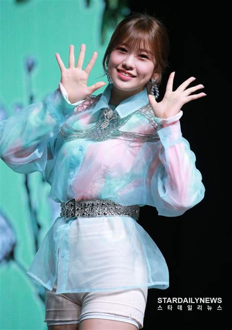 아이즈원 출신 안유진 장원영 이어 코로나19 확진 판정 공식 네이트 뉴스