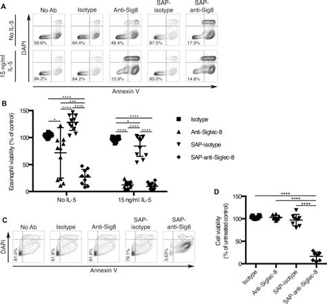 Leveraging Siglec Endocytic Mechanisms To Kill Human Eosinophils And