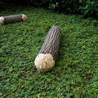 Подушка "Бревно" - Идеи дизайнеров - Блог - GardenWeb