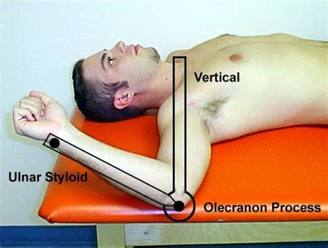 17 Best Images About Mmt And Goniometry On Pinterest Physical Therapy