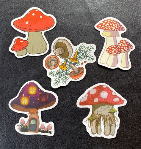 Sets of 5 Colourful Fungi Toadstool Mushroom Matte Stickers - Etsy UK