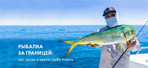 Зарубежная рыбалка: какую рыбу можно поймать в Турции, Египте и других ...