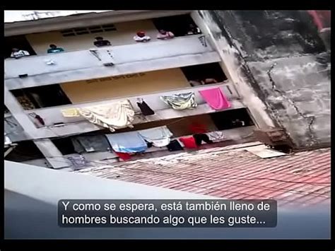 El Dynasty en 5 de mayo Ciudad de Panamá XVIDEOS