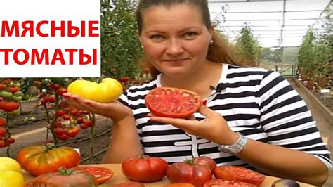 ГОВЯДИНА С КУСТА! ЧЕТЫРЕ БЕСПОДОБНЫХ САХАРНЫХ МЯСНЫХ ТОМАТА. - YouTube