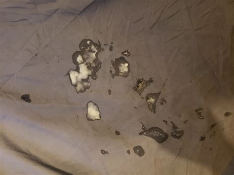 English Gay Porn Pics Real England Sex Photos Xhamster