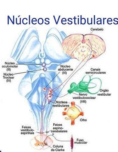 Pin En Masaje Y Fisioterapia En Casa