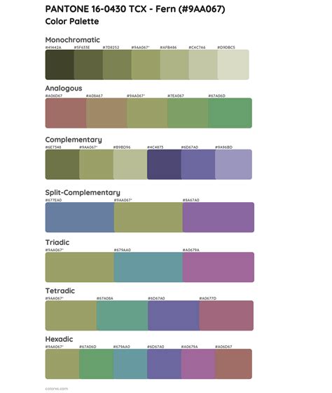 PANTONE 16 0430 TCX Fern Color Palettes Colorxs