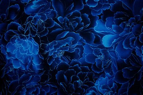 "Royal Blue" Bilder – Durchsuchen 15,201 Archivfotos, Vektorgrafiken ...