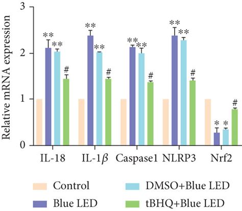 The Role Of Nrf2 In The Inflammatory Activation Of Retina A RT PCR