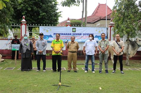 Pemkab Pemkab Kulon Progo Salurkan Sapi Dan Kambing Untuk