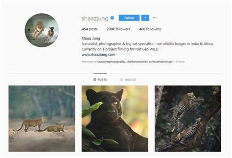 21 Inspiring Wildlife Photographers to Follow on Instagram — Wildlife Woods