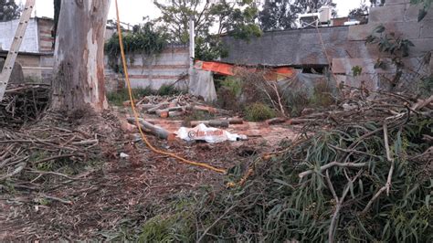 Hombre muere tras caerle tronco de un árbol que podaba en Tenancingo