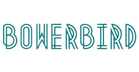 Bowerbird A Playful Modern Design Store